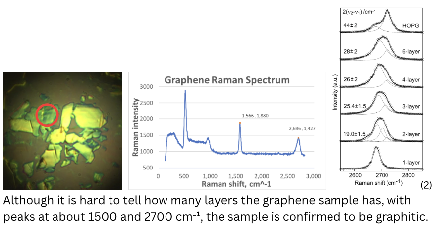 Raman spectroscopy panel