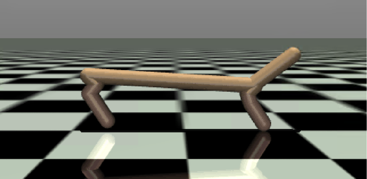 Morphology Locomotion